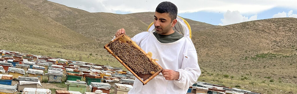 آشنایی با خواص گرده گل برای مردان