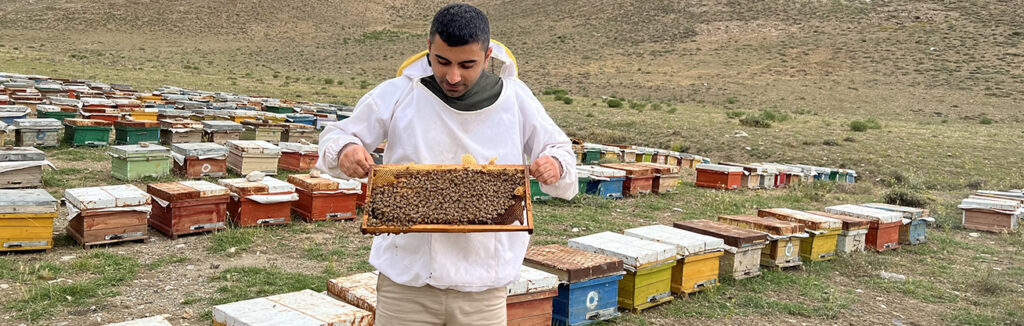 آشنایی با خواص گرده گل برای مردان