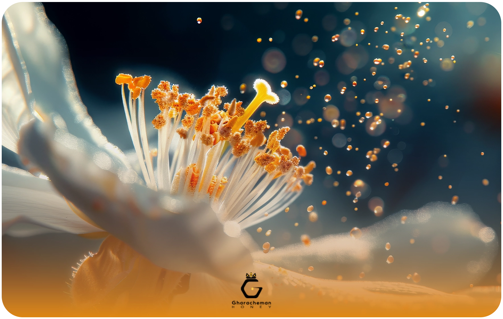 گرده گل را چگونه نگهداری کنیم؟