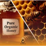 تفاوت عسل طبیعی و ارگانیک در چیست؟