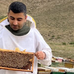 مضرات عسل برای کودکان