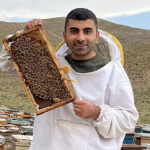 بررسی جامع عسل و تنظیم فشار خون