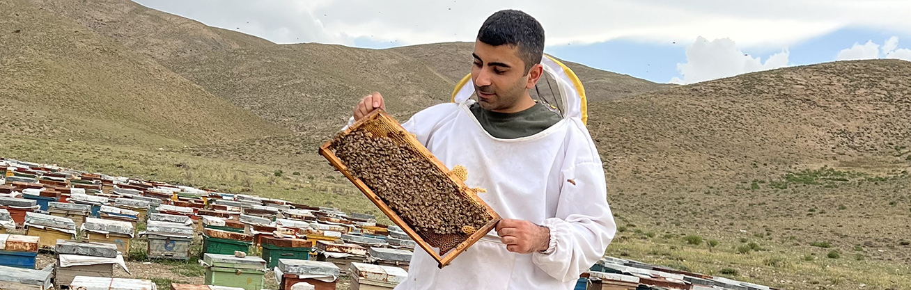 فواید عسل و دارچین: رازهایی برای سلامتی