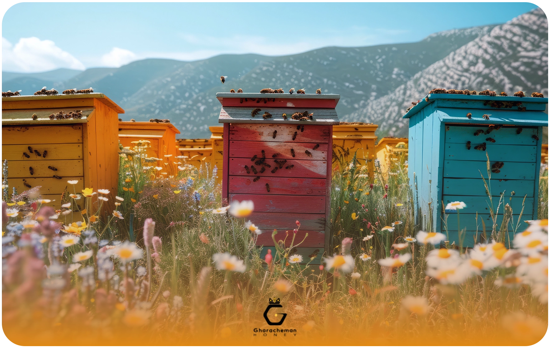 خواص عسل کوهی وحشی: ماده ای شفا بخش از دل طبیعت