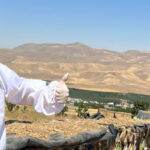 خواص عسل کوهی وحشی: ماده ای شفا بخش از دل طبیعت