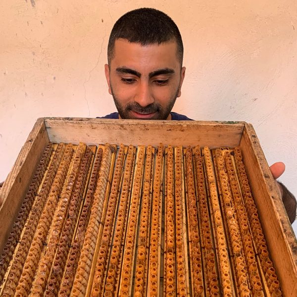 خرید ژل رویال اصل (50 گرم) - Image 3