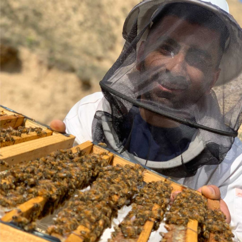 خرید عسل بدون واسطه