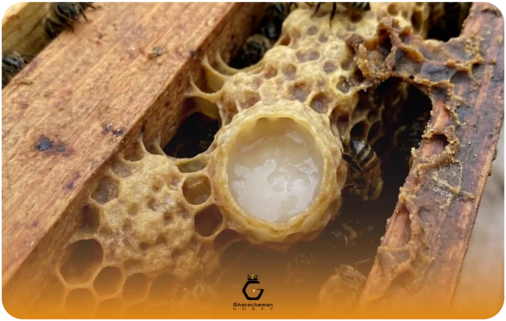 ژل رویال اصل