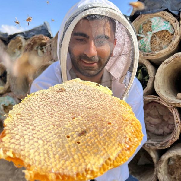 شهد عسل كندو سنتى(بدون موم) - Image 2