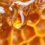ترکیب عسل با ۳ ماده غذایی
