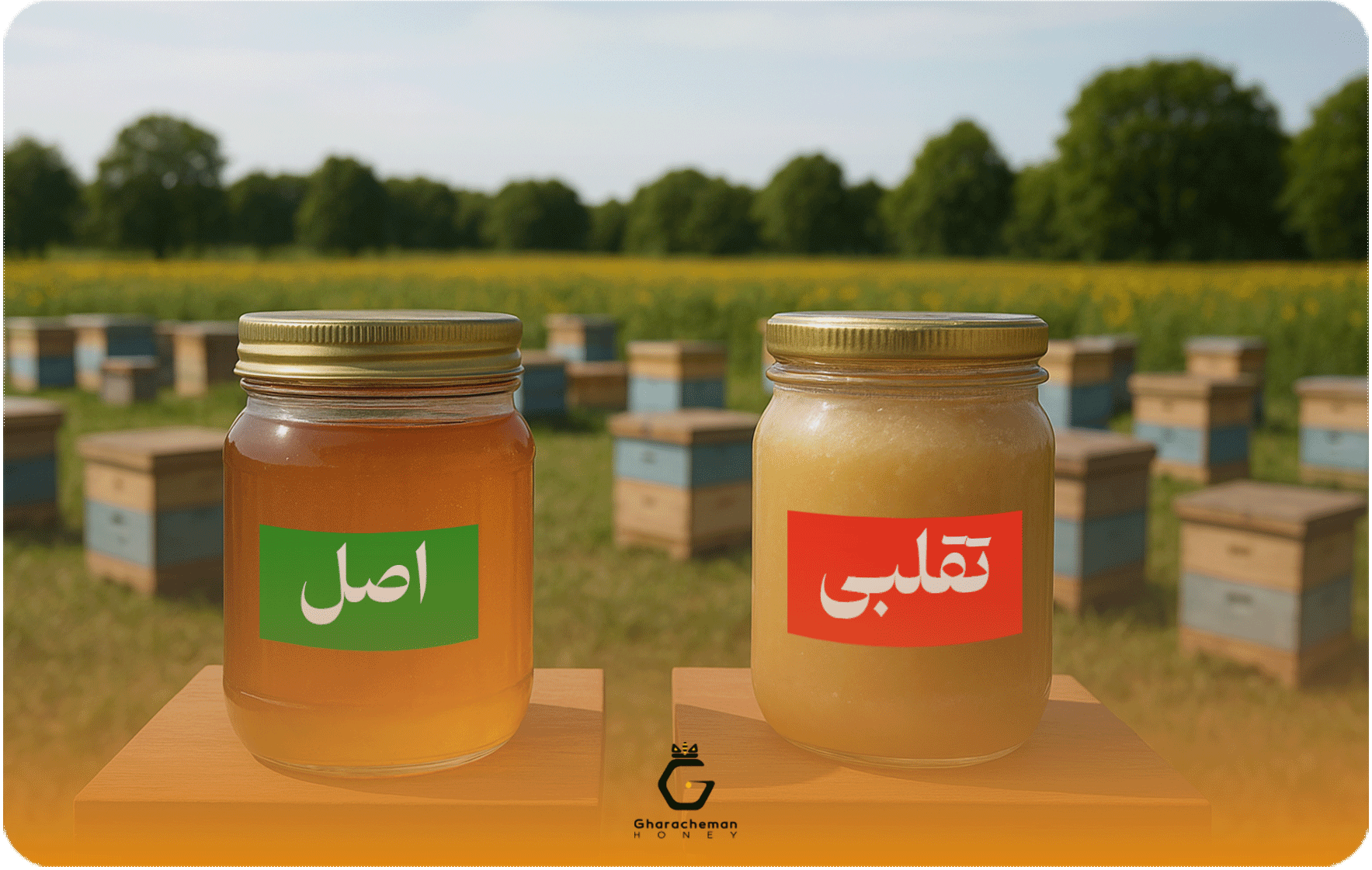 چگونه عسل عمده اصل را تشخیص دهیم؟