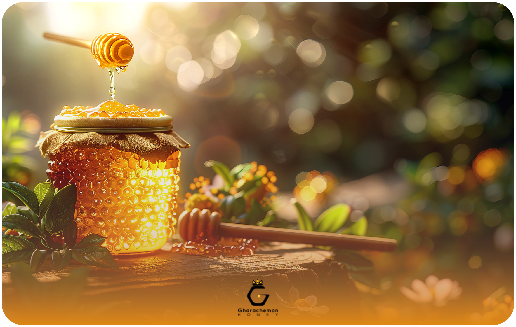 بهترین زمان خرید عسل عمده فصل بهار