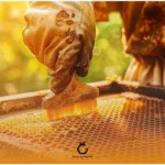 خرید عسل عمده برای رستوران‌ها