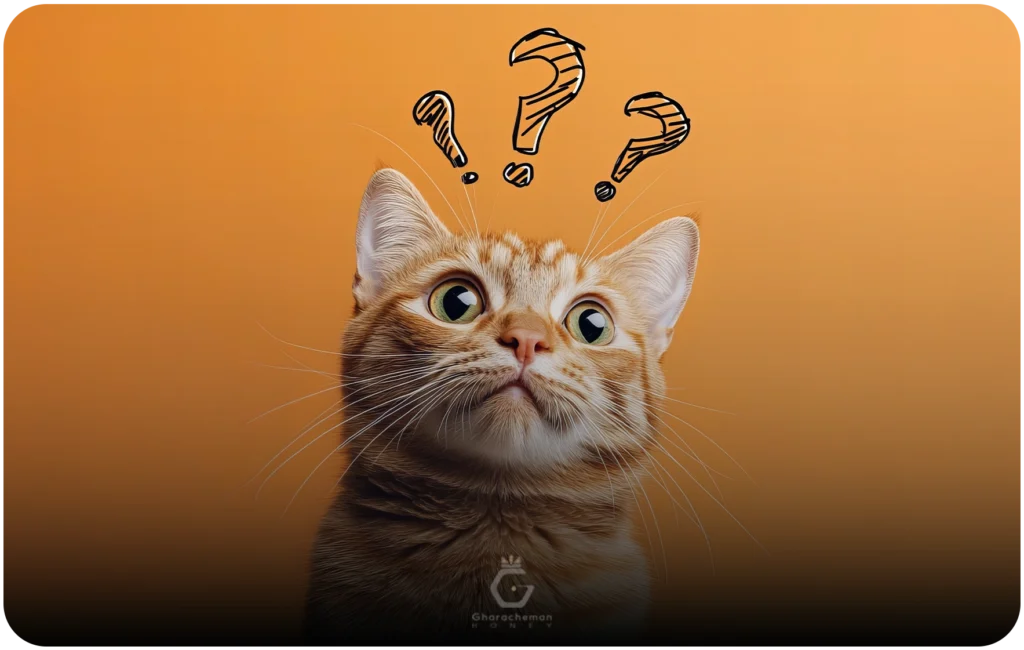 سوالات متداول