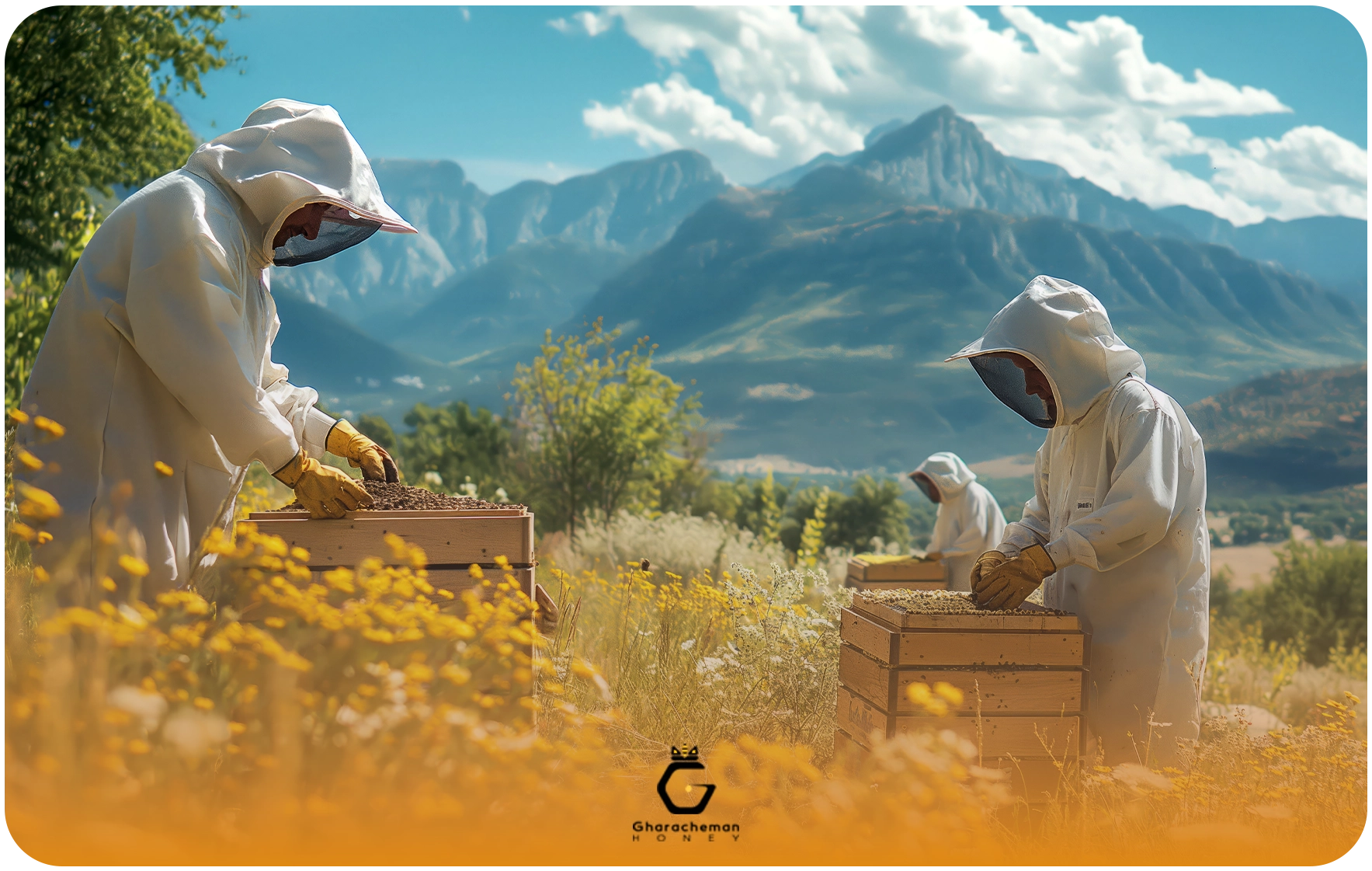 خرید عسل عمده