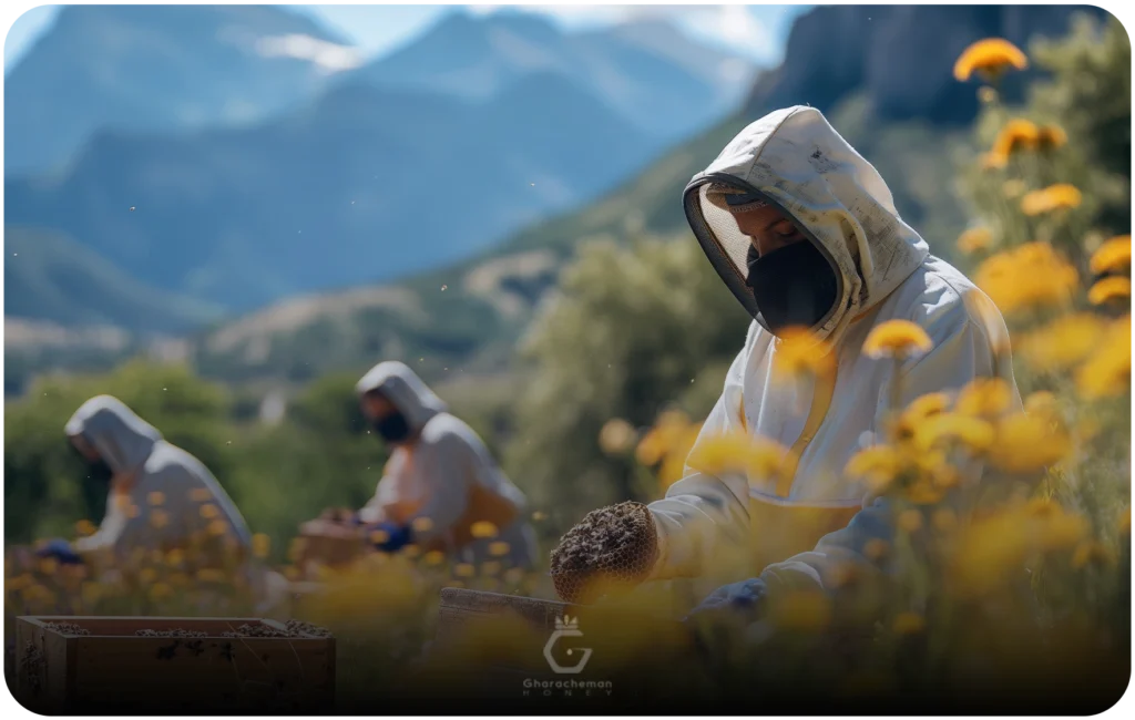 چک‌لیست خرید عسل عمده با کیفیت