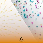 مقایسه گرده گل چندرنگ و تک رنگ