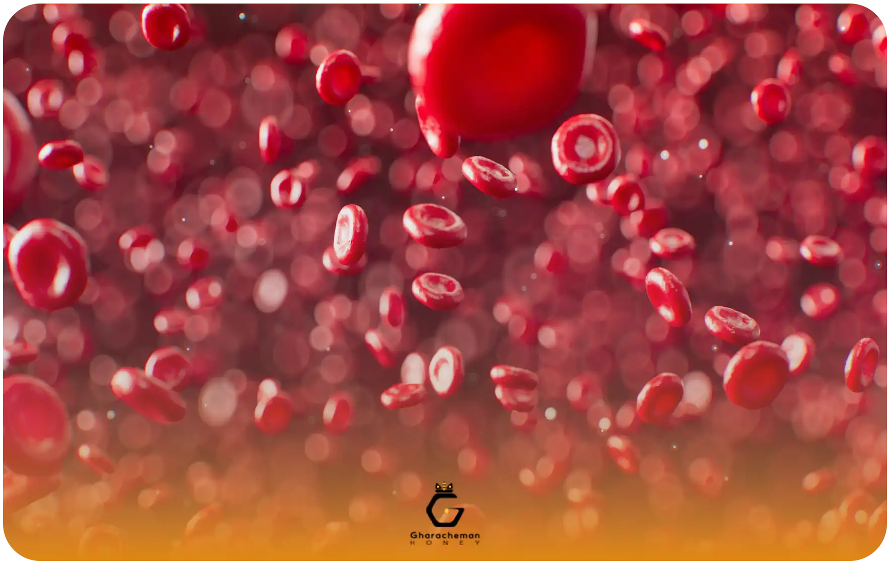 تاثیر ژل رویال بر کم خونی