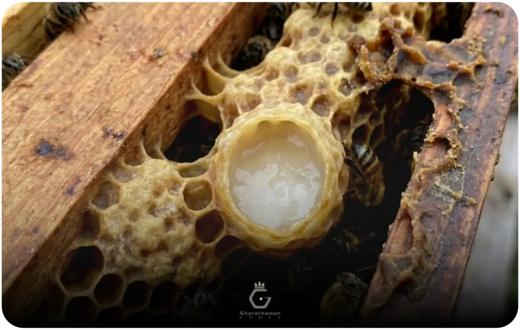 ژل رویال چیست ؟