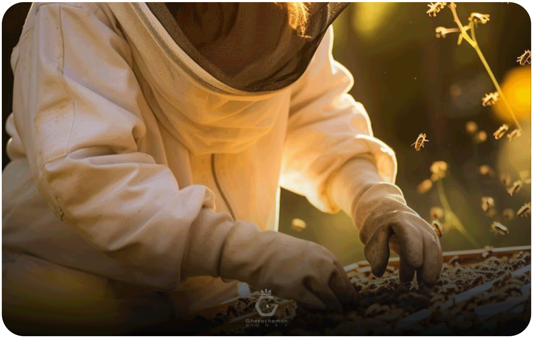 زنبورداری در دوران باستان و تمدن‌های ایرانی