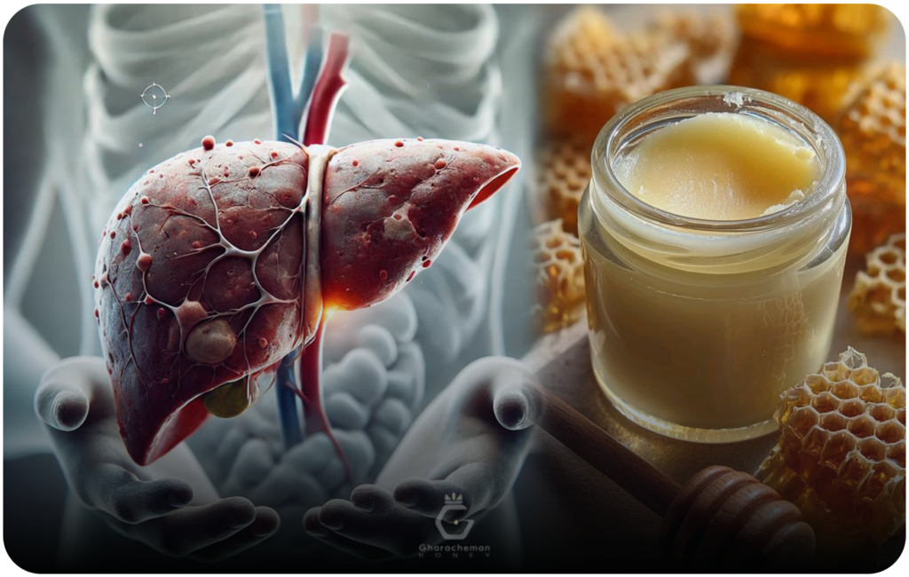 چرا سمزدایی کبد اهمیت دارد؟